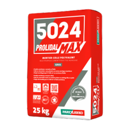 LANKO PROLIMAX 5024 GRIS 25KG COLLE DALLES PISCINE